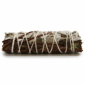 Bouquet d'herbes aromatiques - Sauge blanche et menthe 10 cm