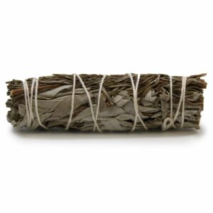 Bouquet d'herbes aromatiques - Sauge blanche et romarin 10 cm