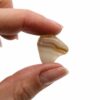 Petites pierres africaines - Agate grise - Botswana