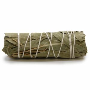 Bouquet d'herbes aromatiques - Sauge blanche et eucalyptus 10 cm