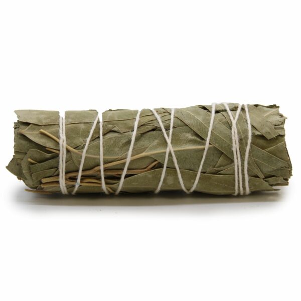 Bouquet d'herbes aromatiques - Sauge blanche et eucalyptus 10 cm
