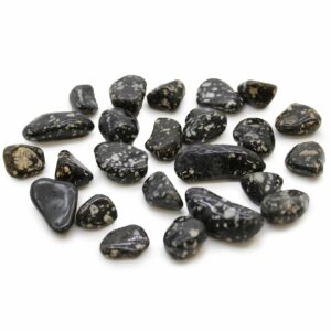 Petits cailloux africains - Pintades