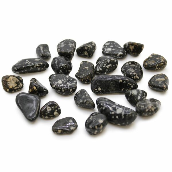 Petits cailloux africains - Pintades