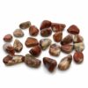 Petites pierres africaines - Jaspe clair - Bréchoïde
