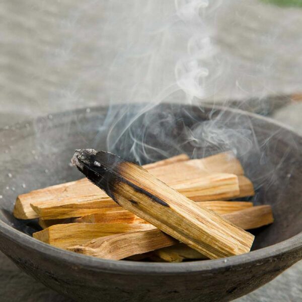 Bâtonnets de Palo Santo verts (100 g) - 10 à 15 bâtonnets