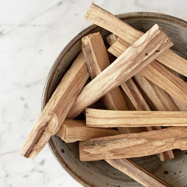 Bâtonnets de Palo Santo vert (50 g), 5 à 8 bâtonnets