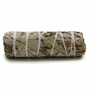 Bouquet d'herbes - Sauge blanche 10 cm