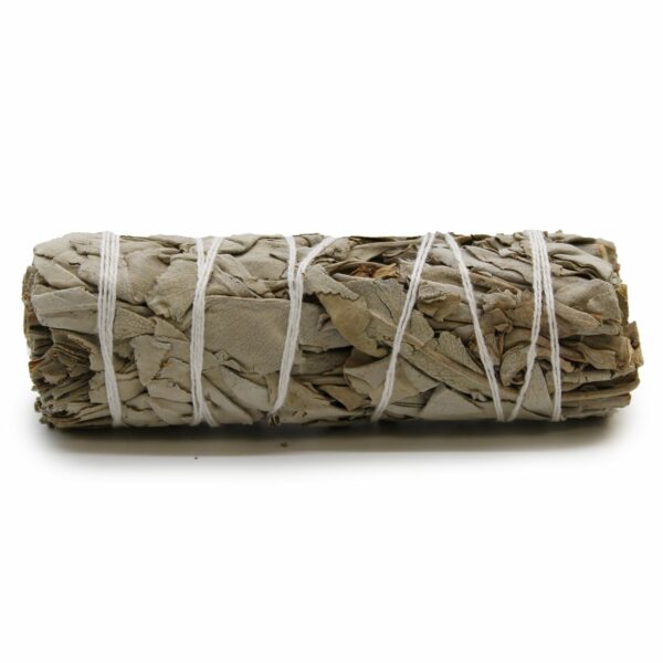 Bouquet d'herbes - Sauge blanche 10 cm