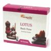 10 cônes d'encens à reflux Aromatika - Lotus