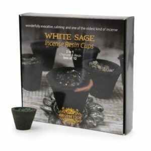 Boîte de 12 coupelles en résine - sauge blanche
